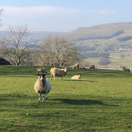 Quarry Cottage Near Hawes, Yorkshire Dales, Pet Free Bagian luar foto