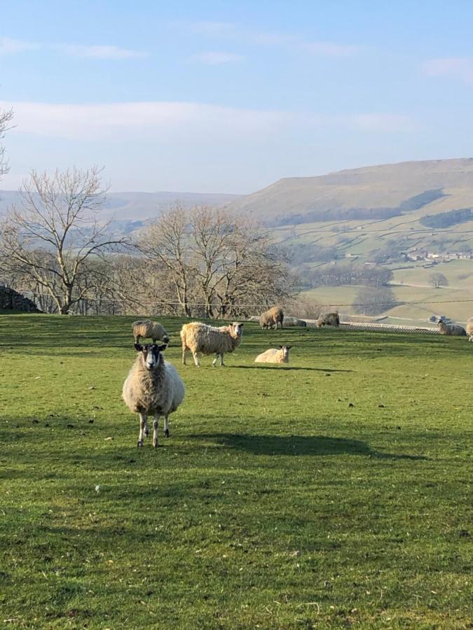 Quarry Cottage Near Hawes, Yorkshire Dales, Pet Free Bagian luar foto